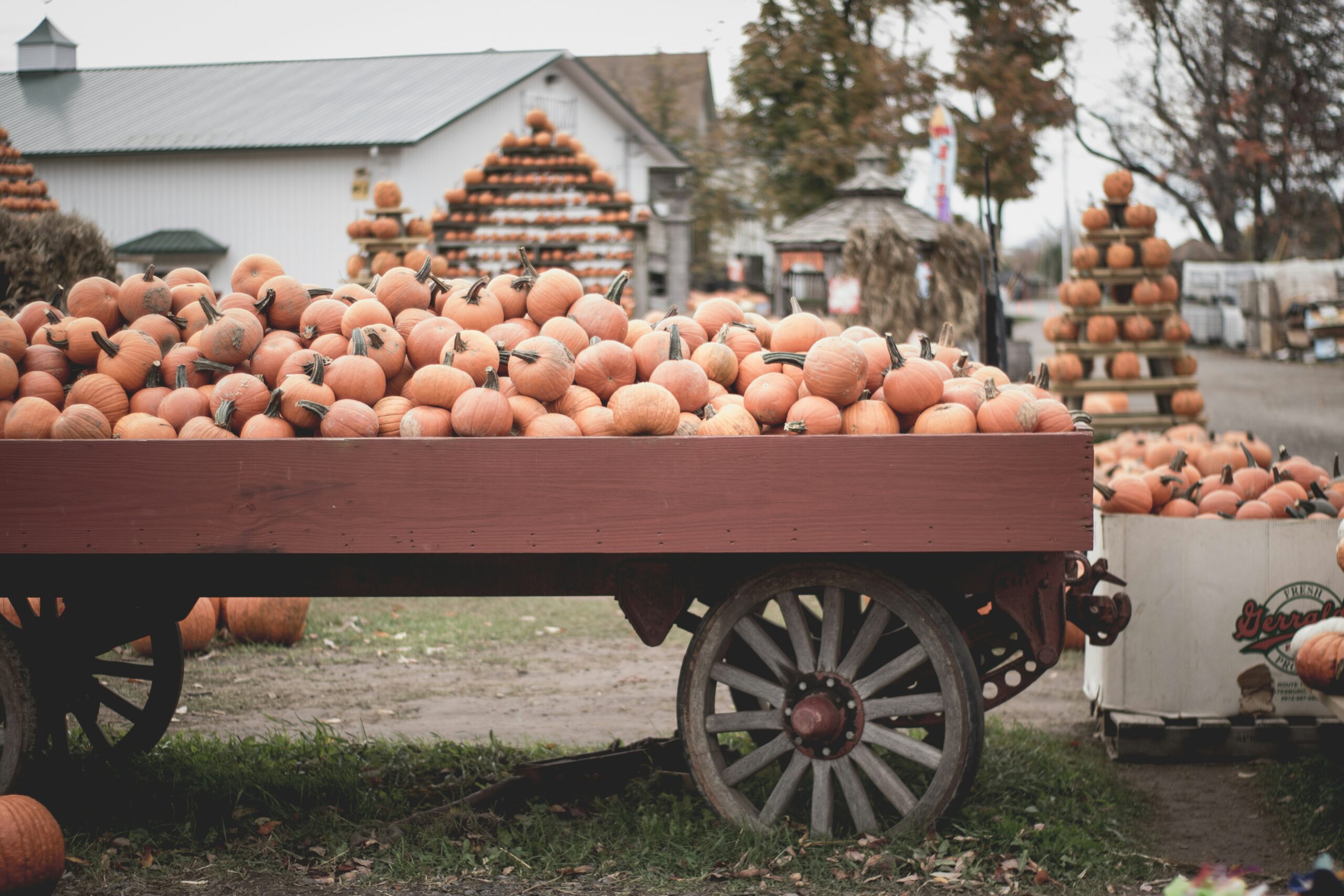 Fall Festival Farm Truck