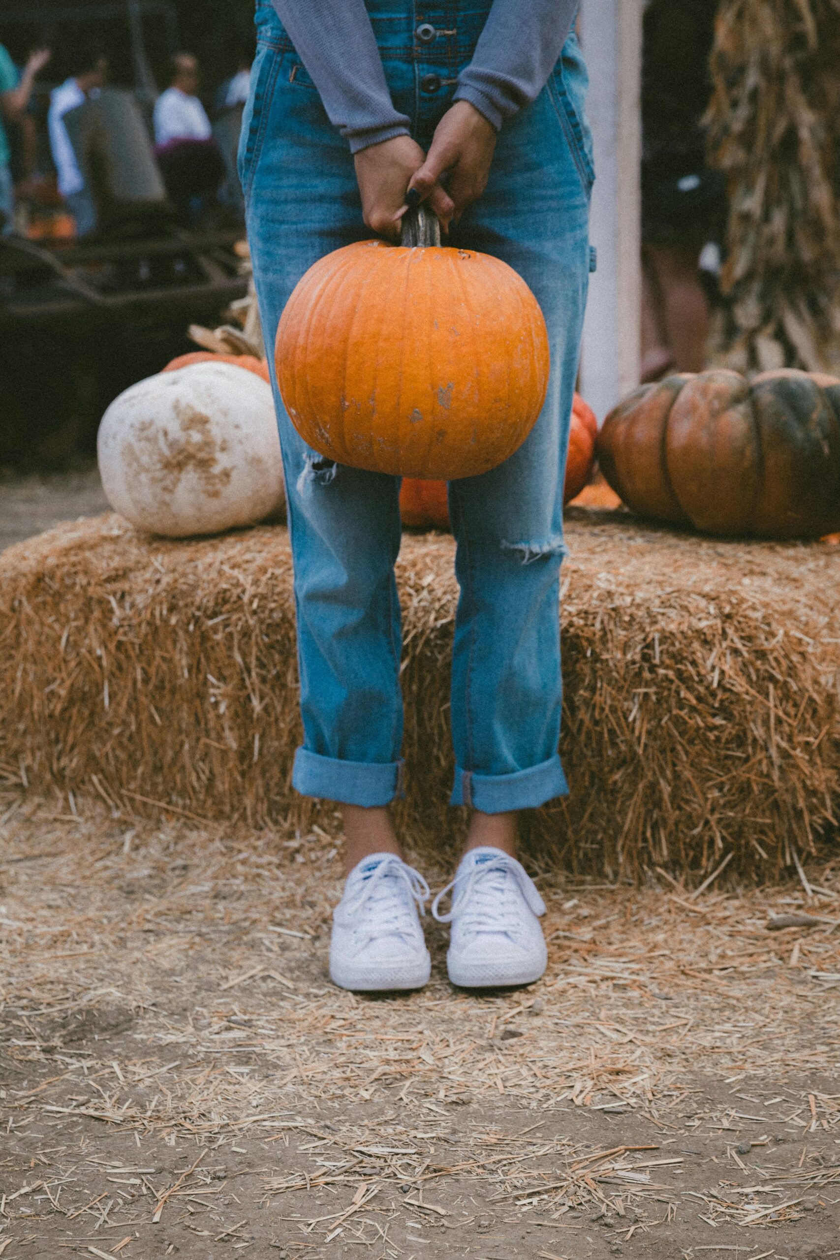 Fall Festival Pumpkin